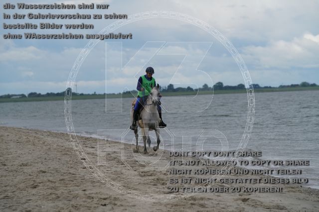 s_K3F04929.JPG